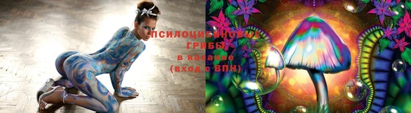 spice Володарск