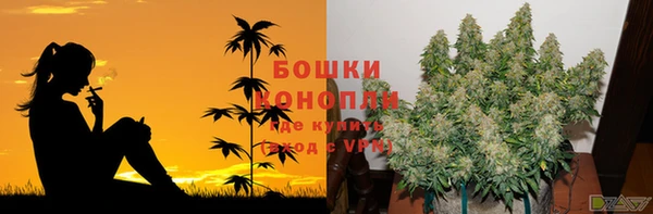 ПСИЛОЦИБИНОВЫЕ ГРИБЫ Вязники
