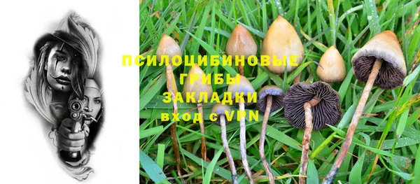 альфа пвп Вяземский