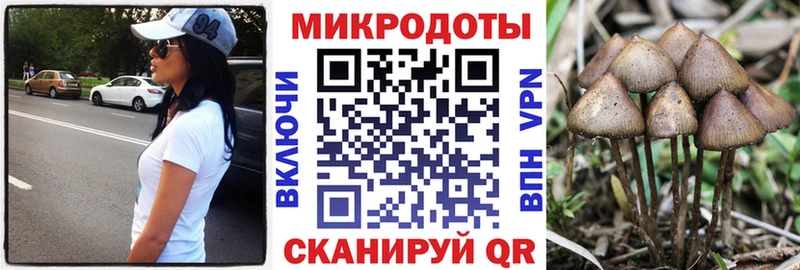 Псилоцибиновые грибы Psilocybine cubensis  Курган 